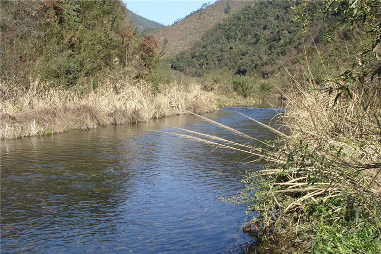 好山好水出好紙——涇縣宣紙廠生產(chǎn)水源烏溪河近景